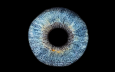iris
